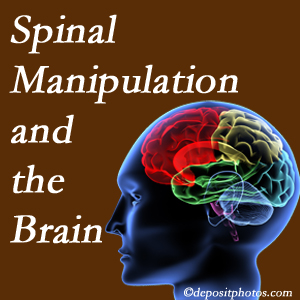 Most Chiropractic Clinic [presents research on the benefits of spinal manipulation for brain function. 