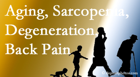 Most Chiropractic Clinic lessens a lot of back pain and sees a lot of related sarcopenia and back muscle degeneration.