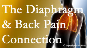 Most Chiropractic Clinic knows the relationship of the diaphragm to the body and spine and back pain. 
