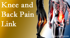 Most Chiropractic Clinic treats back pain and knee osteoarthritis to help avert falls.