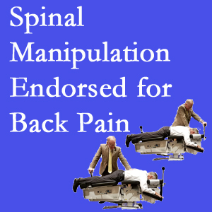 Murfreesboro chiropractic care includes spinal manipulation, an effective,  non-invasive, non-drug approach to low back pain relief.