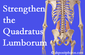 Murfreesboro chiropractic care proposes exercise recommendations to strengthen spine muscles like the quadratus lumborum as the back heals and recovers.