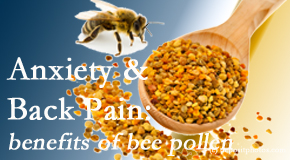 Most Chiropractic Clinic presents info on the benefits of bee pollen on cognitive function that may be impaired when dealing with back pain.