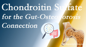 Most Chiropractic Clinic presents new research linking microbiota in the gut to chondroitin sulfate and bone health and osteoporosis. 
