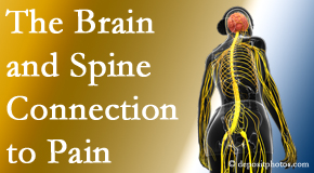 Most Chiropractic Clinic looks at the connection between the brain and spine in back pain patients to better help them find pain relief.
