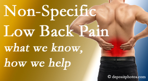 Most Chiropractic Clinic share the specific characteristics and treatment of non-specific low back pain. 