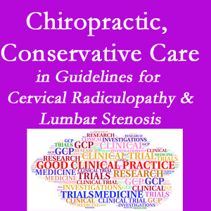 Murfreesboro chiropractic care for cervical radiculopathy and lumbar spinal stenosis is often ignored in medical studies and guidelines despite documented benefits. 