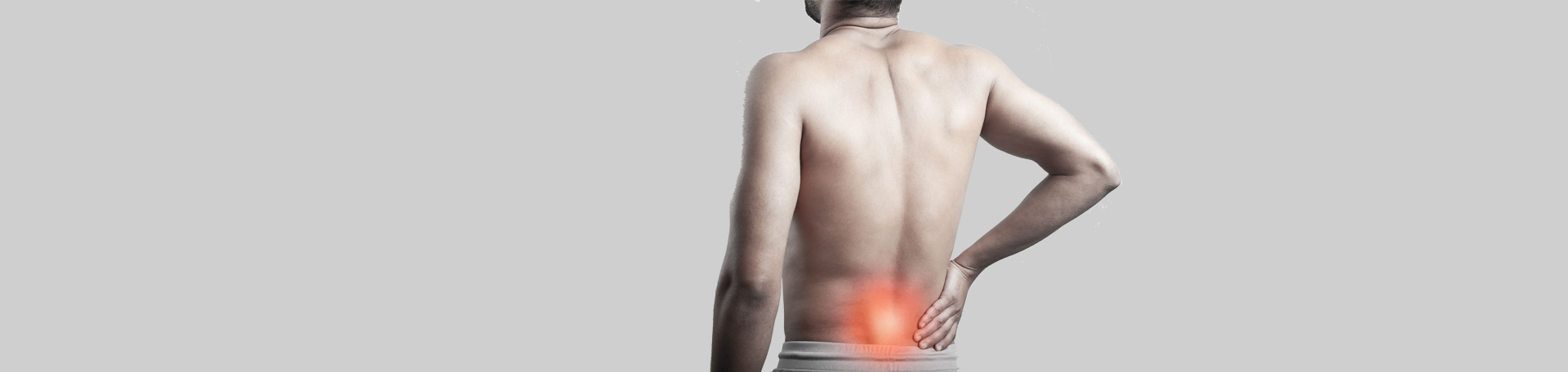 Murfreesboro back paraspinal muscles