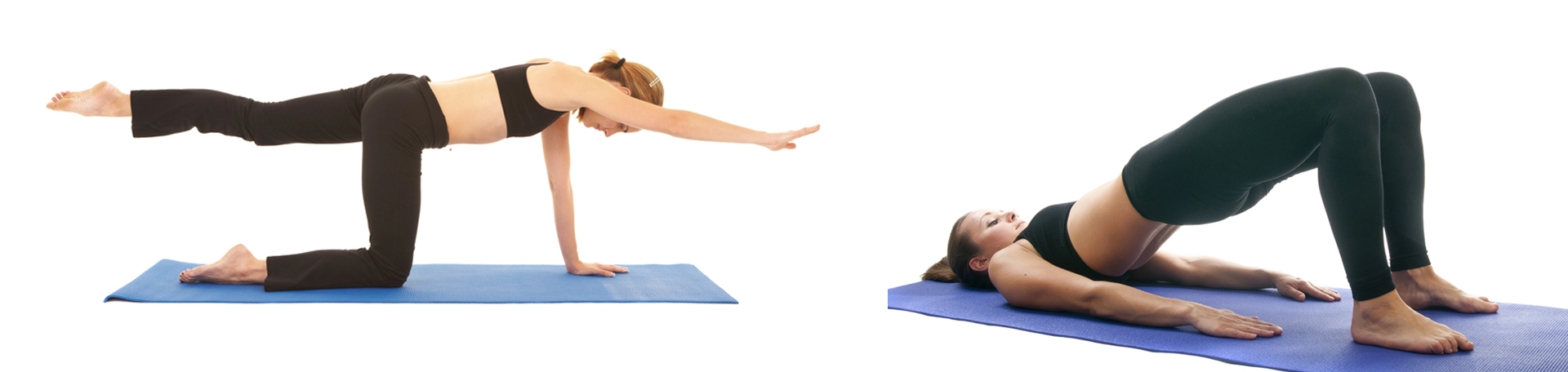 Murfreesboro chiropractic exercise to strengthen multifidus 