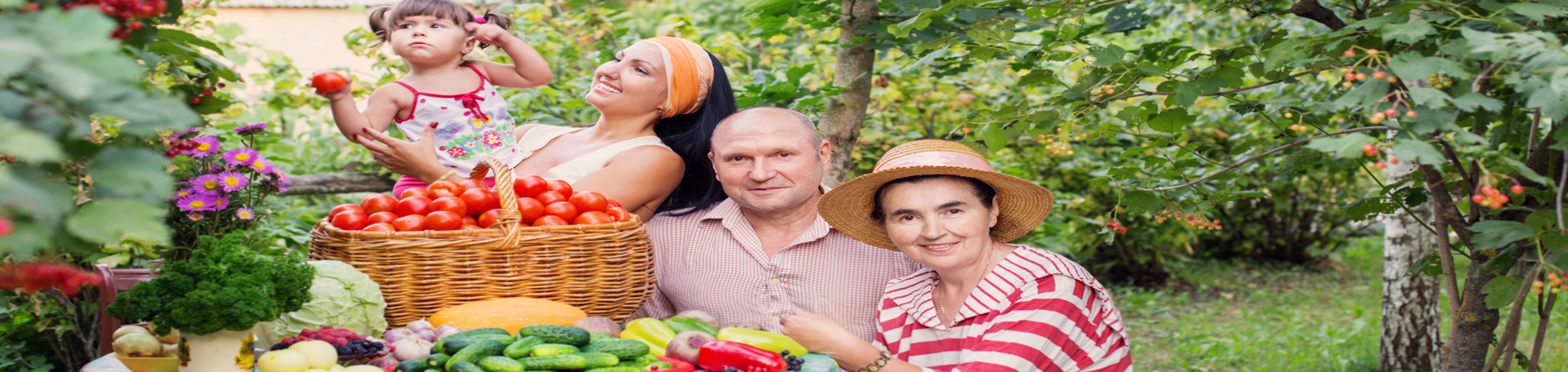  Murfreesboro chiropractic summer health tips