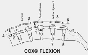 Effects of chiropractic Cox Technic