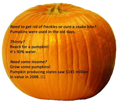 pumpkin facts